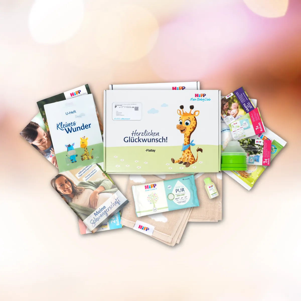 HiPP Babybox